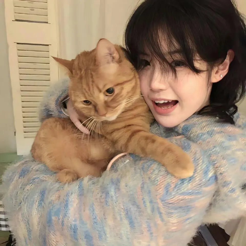 喜羊羊与灰太狼之异国破晓